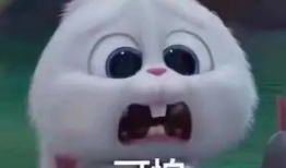 运城今日吃瓜事件真相是真的吗,事实与谣言的较量