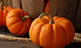 今日晴宜吃瓜壁纸,今日宜吃瓜壁纸赏析