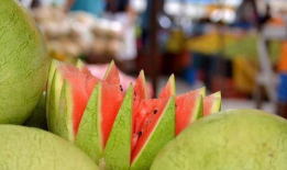 今日几点吃瓜,揭秘今日最佳“吃瓜”时刻