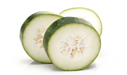 杭州今日吃瓜,吃瓜群众聚焦最新热议事件